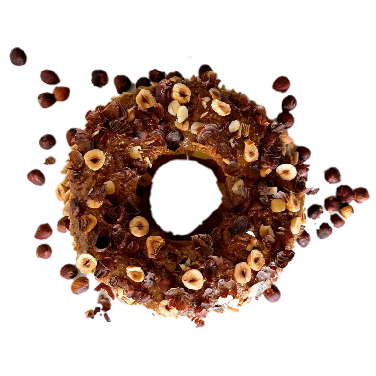 TORTA-1